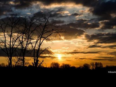 Nicolae Velimirovici, optimism