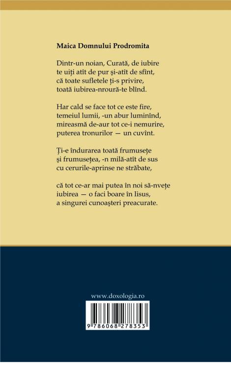 Stîlpul de foc, Nicolae Ionel 