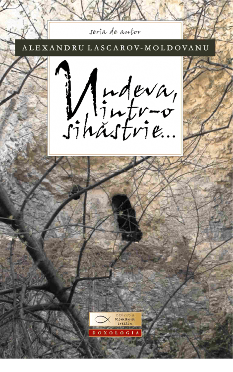Undeva, într-o sihăstrie - Alexandru Lascarov-Moldovanu