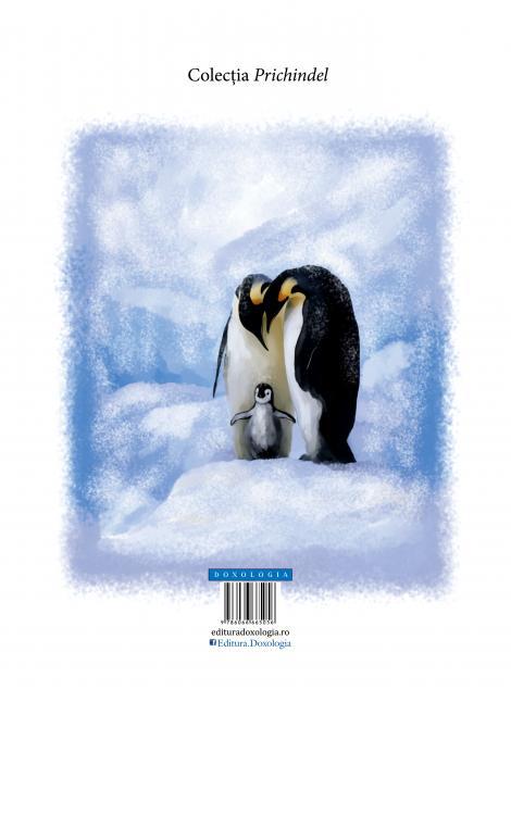 Prietenii din Țara Zăpezii, Dorin Bujdei