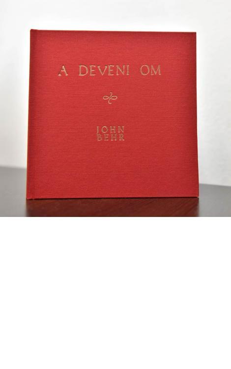 John Behr, A deveni om