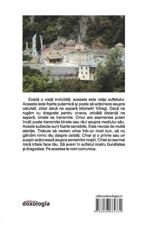 Sfântul Cuvios Porfirie Kavsokalivitul. Sfințenia în secolul al XXI-lea, Monahul Patapios Kavsokalivitul