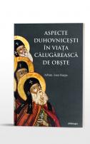 Aspecte duhovnicești în viața călugărească de obște