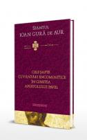 Cele șapte cuvântări encomiastice în cinstea Apostolului Pavel, Alexandru Prelipcean 