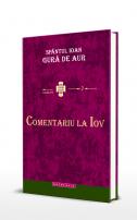 Comentariu la Iov