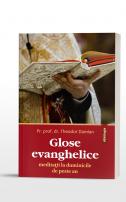Glose evanghelice - Meditații la duminicile de peste an