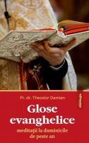 Glose evanghelice - Meditații la duminicile de peste an