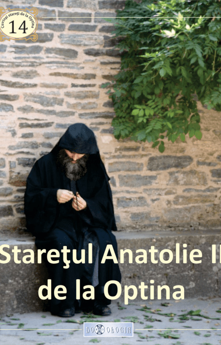 Starețul Anatolie II de la Optina, Pr. Teoctist Caia