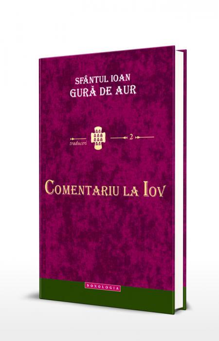 Comentariu la Iov